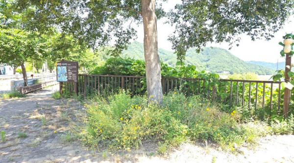 경북 김천시 부항면 신옥리 산 17-5 일대_예초_6