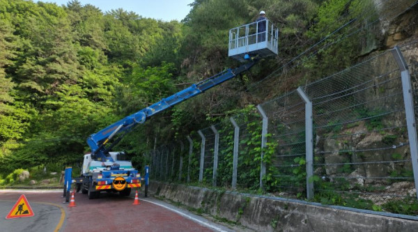 김천시 지례면 대율리 207-1_수목제거_0