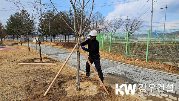 김천시 율곡동 국민 체육센터 수목 이식공사_3