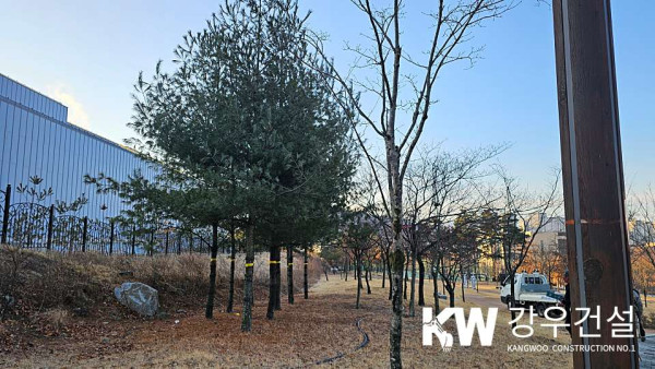 김천시 율곡동 국민 체육센터 수목 이식공사_10