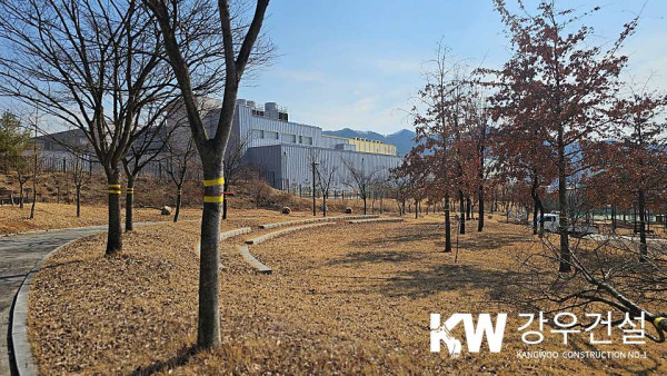 김천시 율곡동 국민 체육센터 수목 이식공사_9